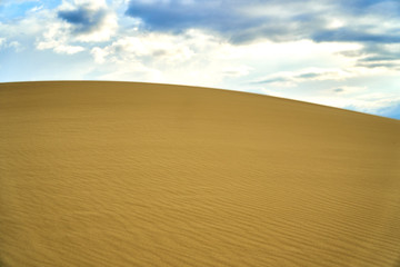 Yellow desert. Sand dunes. Blue sky and white clouds. Birds at sunset. Mountains of sand. The multi-colored sky. Feather clouds.