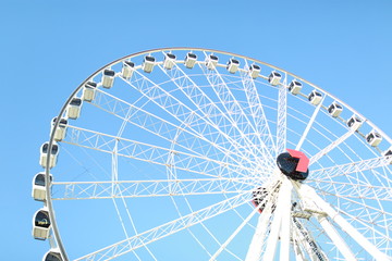 Brisbane wheel