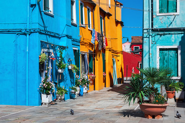 Multicolored houses of Burano, Italy.