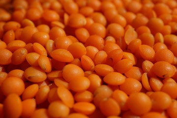 red lentils macro