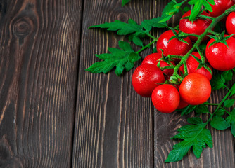 Fresh cherry tomatoes on a branch with leaves, dark wooden background. Ripe tomatoes in droplets of water. Copy space for text, close up.