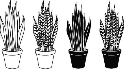 Snake Plant Line Drawing - Vector Illustration