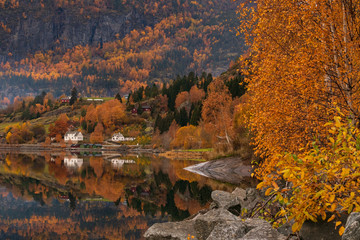 Norwegian fjord landscape with beautiful water reflection in autumn