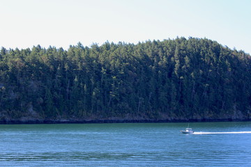 pontoon boat on a lake
