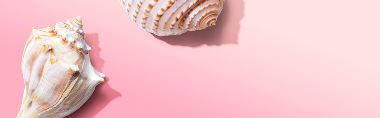 Summer concept with seashells overhead view - flat lay