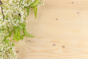 Flower arrangement on a wooden background isolated from bird cherry. Creative modern bouquet, minimal holiday concept. Wooden board for use as texture