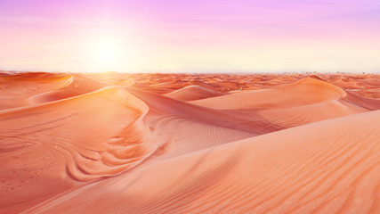 Silent Desert