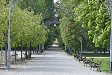 Kudowa Zdrój miejscowość uzdrowiskowa na Dolnym Śląsku