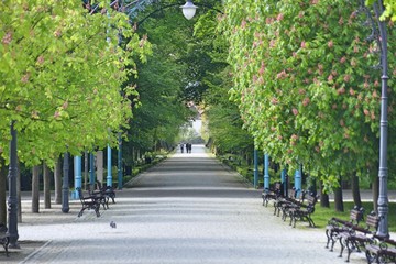 Kudowa Zdrój miejscowość uzdrowiskowa na Dolnym Śląsku