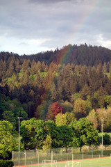 Regenbogen &uuml;ber Sportanlage am Freiburger Stadtrand mit Bew&ouml;lktem Himmel und Schwarzwald im Hintergrund