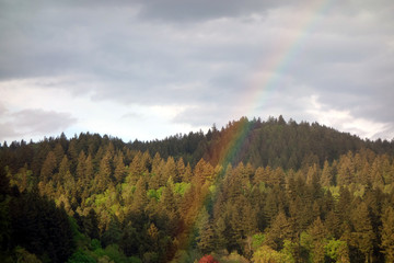 Regenbogen und wolkiger Himmel im Hintergrund der Schwarzwald bei Freiburg