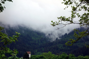 Wolkenverhangener Berghang im Schwarzwald mit Nebel in stimmungsvoller Landschaft