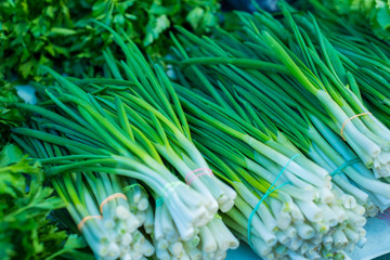closeup green onion texture. Raw greens, vitamin salad. Healthy nutrition, diet food.