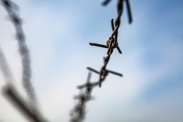 Barbed wire in several rows against the sky. Close-up. Horizontal orientation.