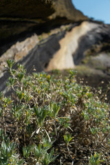 Volcanic formation in Tenerife