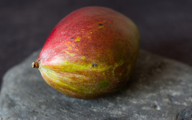 Close up photograph of a large mango on slate against a grey background