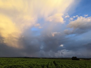 Obraz na płótnie Canvas sunset over field