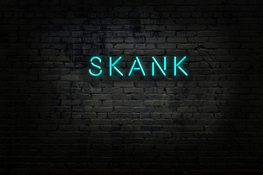 Neon sign with inscription skank against brick wall