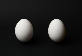 chicken eggs on a black background with space for text