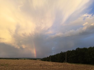 rainbow over the field
