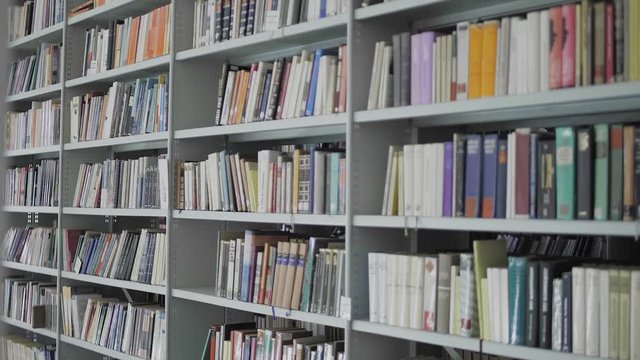 The library interior. Shelfs with books
