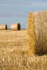 Straw bales in a field in summer with blue sky