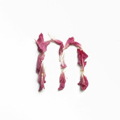 Alphabet made of peony petals. Letter m, layout for design.