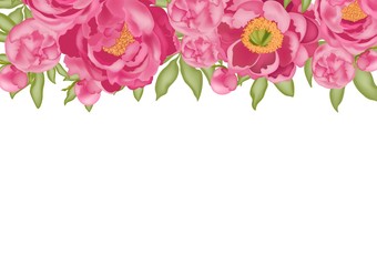 Horizontal background with pink peonies and green leaves isolated on a white background, stock vector illustration with 3D effect, postcard, banner, poster, place for text