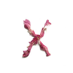 Alphabet made of peony petals. Letter x, layout for design.