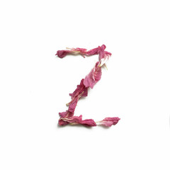 Alphabet made of peony petals. Letter z, layout for design.