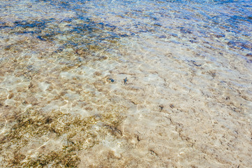 Red Sea coast in Egypt, Sharm el sheikh