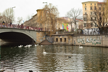 Obraz premium Swans in Berlin