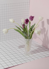 Bouquet of colored tulips on a checkered pink background. Concept template nature blog, social media, flowers concept. Conceptual art minimalistic photography. Copy space