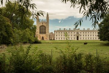 Fototapeta na wymiar view of Cambridge University through trees