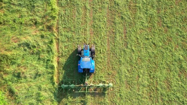 Trattore, raccolta campagna aratro , campo verde, coltivazione, erba, 