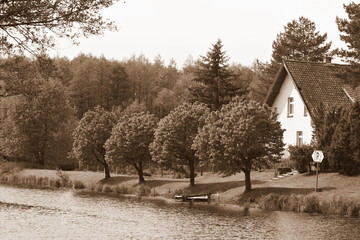Fototapety na wymiar - Fototapeta24.pl