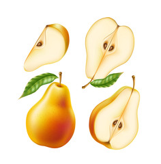 Vector realistic yellow ripe pear healthy food