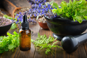 Dropper bottle of essential oil or infusion, mortar of bilberry twigs and healthy bugleherb flowers, fern leaves. Bowls of medicinal herbs and old book on background. Alternative medicine.