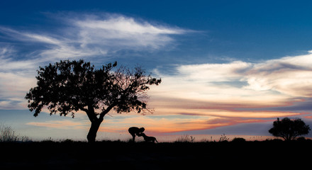 With dog under almond tree with sunset