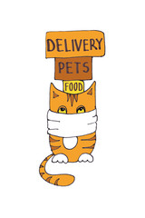 a graphic drawing of a striped ginger cat in a medical mask sits with boxes on its head. on the boxes it is written - delivery, safe, fast