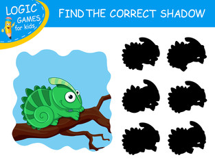 Find the correct shadow Chameleon. Cute cartoon Lizard on colorful background. Educational matching game with fun animal. Logic Games for Kids. Learning card for child kindergarten or school.