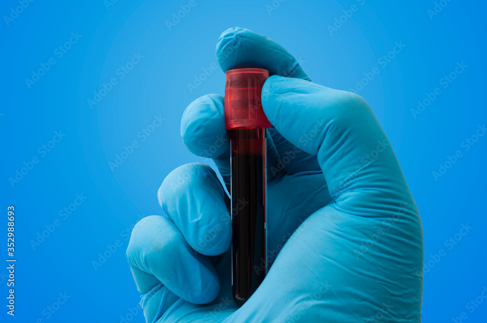 Wall mural Lab diagnostic, examine microbiology and plasma testing concept with doctor holding test tube with blood sample in hand with sterile latex gloves isolated on blue background and clipping path cutout