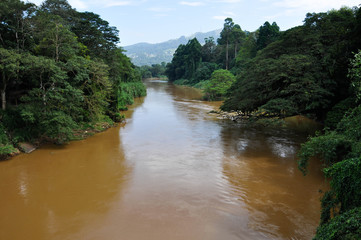 Yellow dirty polluted with chemicals water in river in the beautiful valley with deep green trees on the both sides.