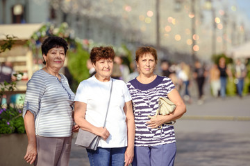 Mature Female Friends Socializing In Backyard Together.