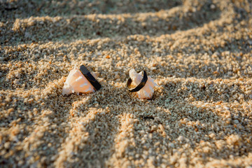 Two black rings lie on the hermit shells in the sand.