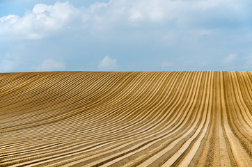 Fototapeta premium Farmland. Plowed field aon a sunny spring morning and blue sky