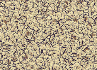 dry cracked wilderness ground texture