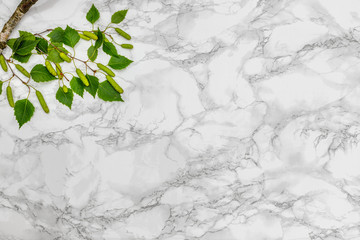 Natural birch twig with leaves and catkins on marble white black backdrop. Natural eco-friendly products background, flat lay, copy space  