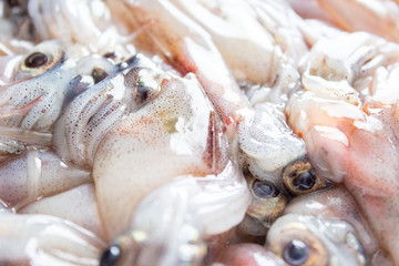 生のホタルイカのアップ