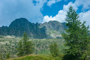 mountain landscape in the summer